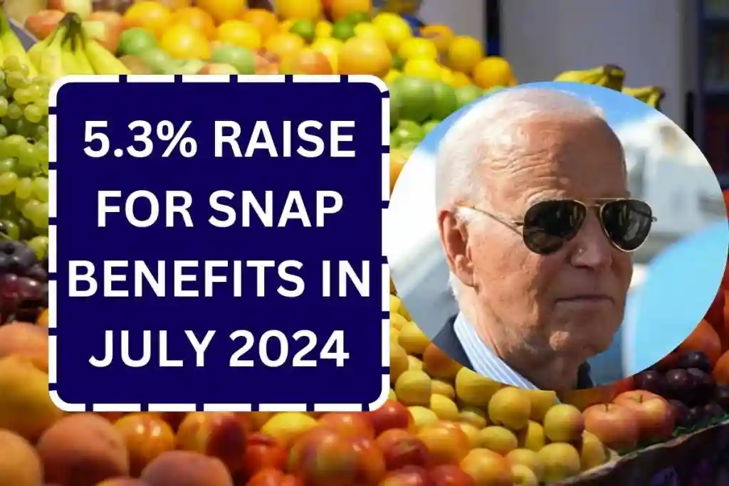 5.3% Raise For SNAP Benefits In July 2024 – Check Food Stamp New Amount After Increase
